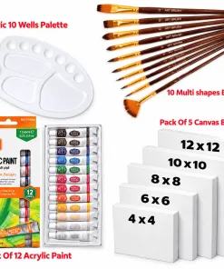 28 Pcs/Set Value Pack For Artist - Canvases, Acrylic Paints 6ml, Multi Shape Brushes And Large Mixing Pallate